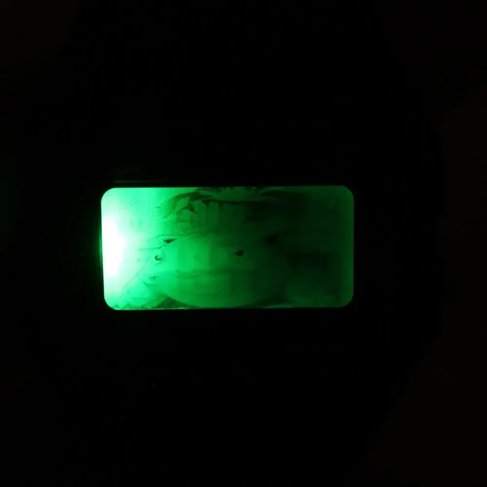 Casio F-91W Custom Venusaur Mod UPGRADED GREEN BACKLIGHT Digital Watch Grass